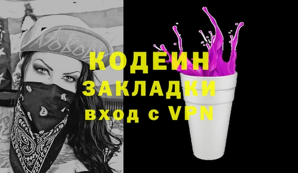 хмурый Белокуриха