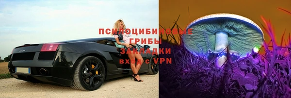 хмурый Белокуриха