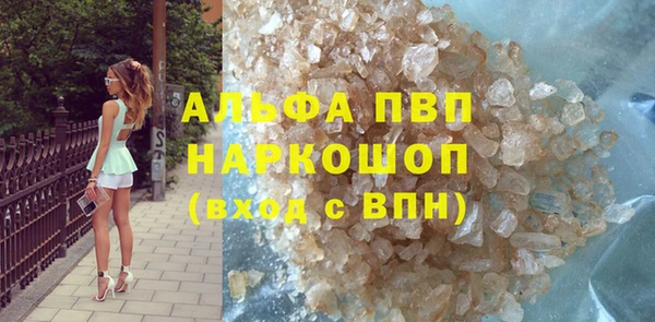 хмурый Белокуриха