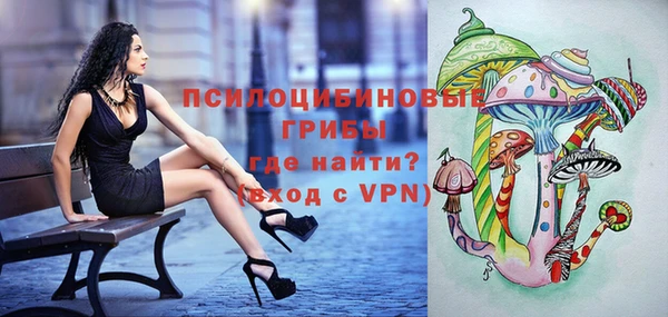хмурый Белокуриха