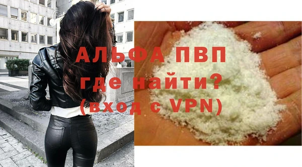 хмурый Белокуриха