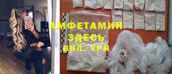 хмурый Белокуриха